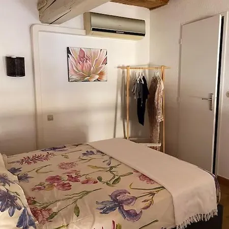 T2/3 Centre Au Pied Du Castillet 아파트 *